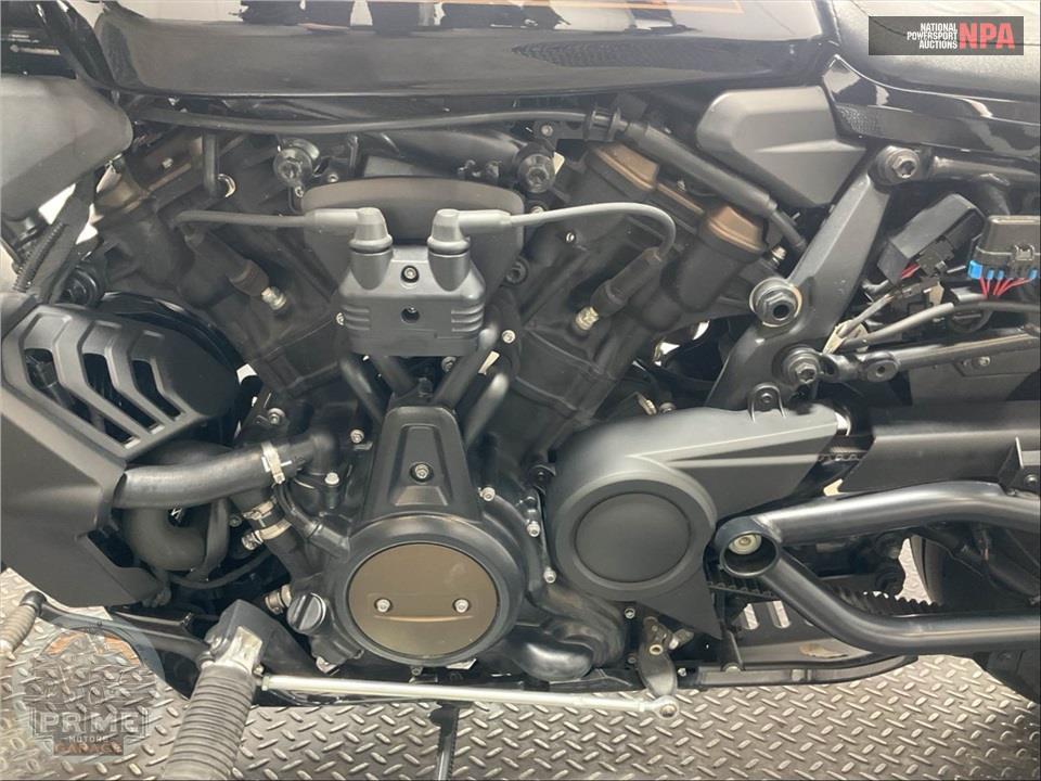 2024 Harley-Davidson RH1250S SPORTSTER S — фото 7