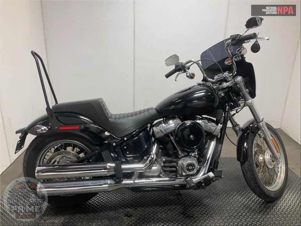 2020 Harley-Davidson FXST SOFTAIL STANDARD — фото 1