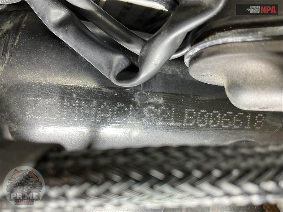 2020 Ducati MONSTER 821 STEALTH — фото 25