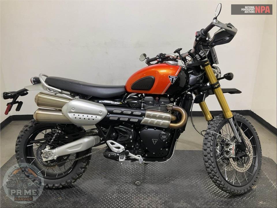 2025 Triumph SCRAMBLER 1200 XE (TWO TONE) — фото 1