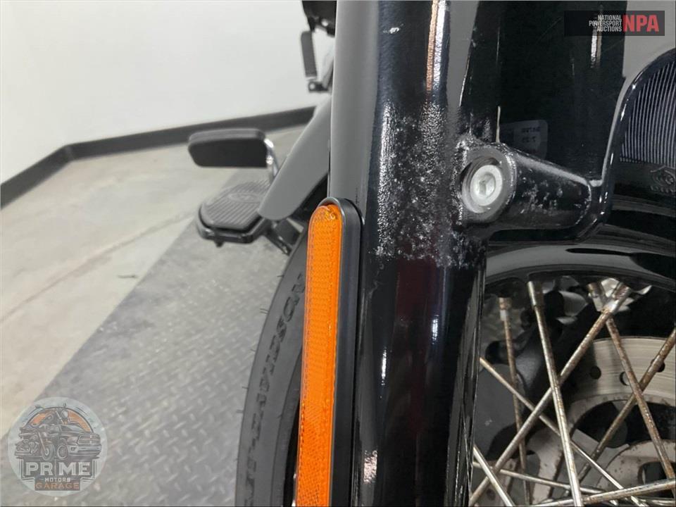 2021 Harley-Davidson FLSL SOFTAIL SLIM — фото 25