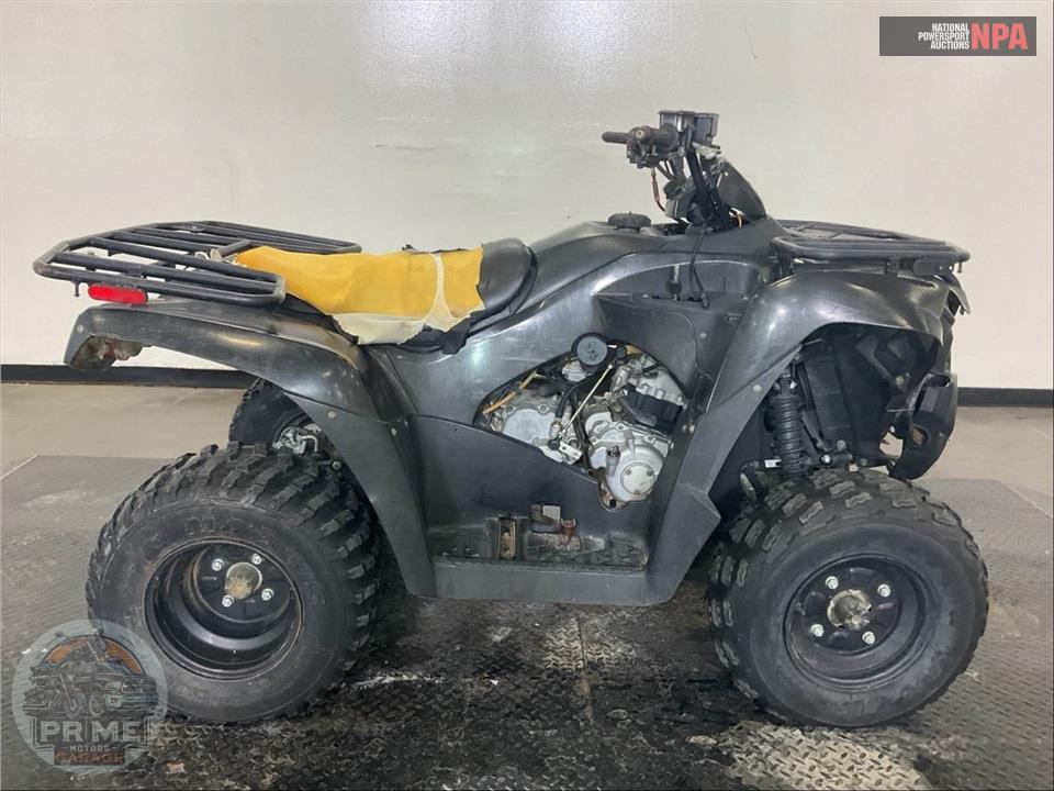 2020 Kawasaki KVF300CLF BRUTEFORCE — фото 1
