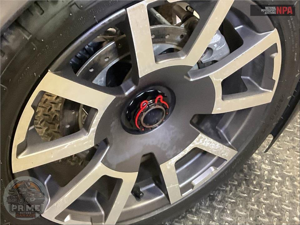 2020 Can-Am RYKER RALLY EDITION 900 ACE — фото 16