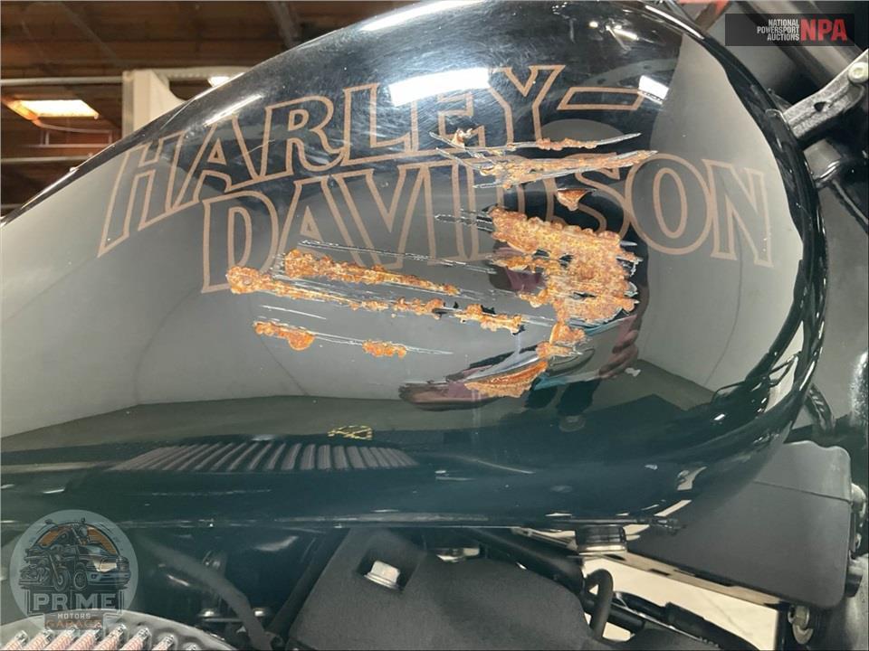 2020 Harley-Davidson FXLRS LOW RIDER S — фото 19