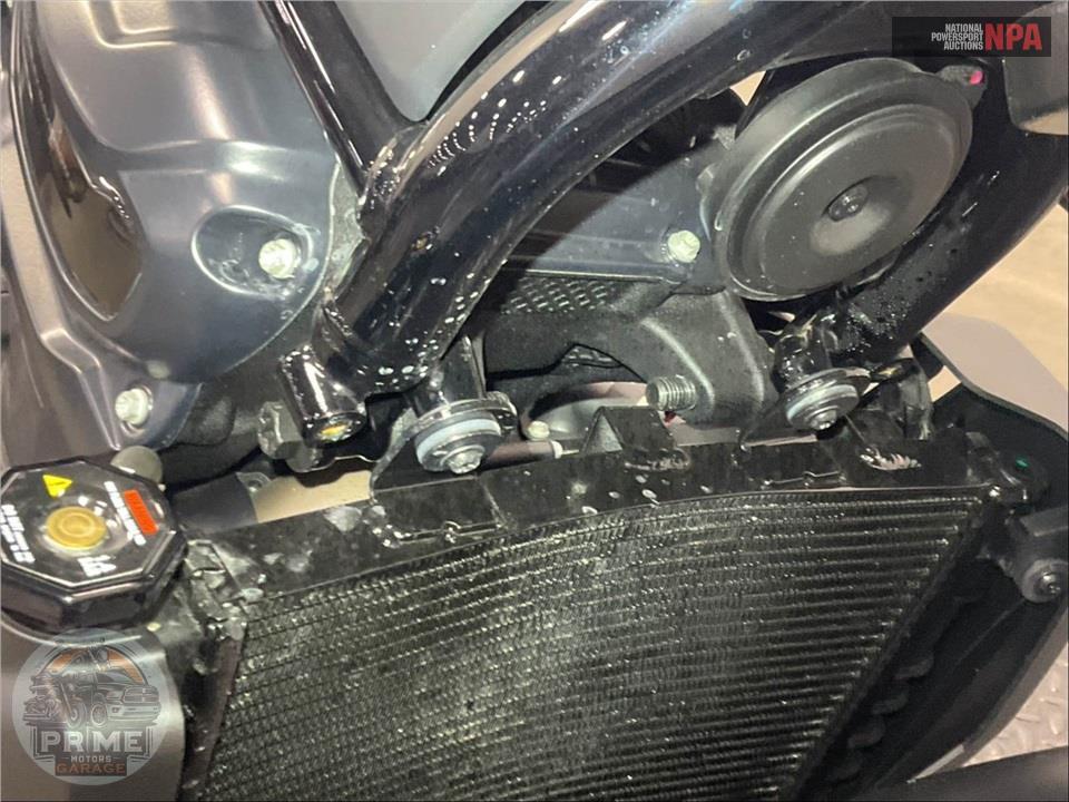 2025 Harley-Davidson RH975S NIGHTSTER SPECIAL — фото 12