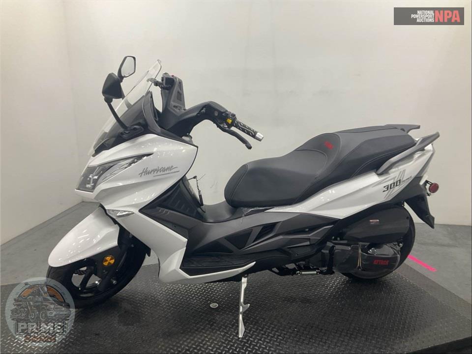 2023 Zhejiang Riya Motorcycle Co, Ltd HURRICANE 300 — фото 3