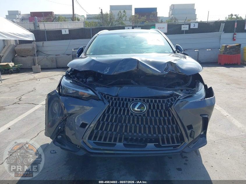 2024 LEXUS NX 350 — фото 6