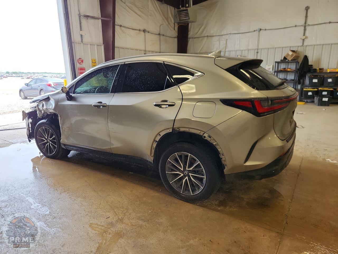 2023 LEXUS NX — фото 2
