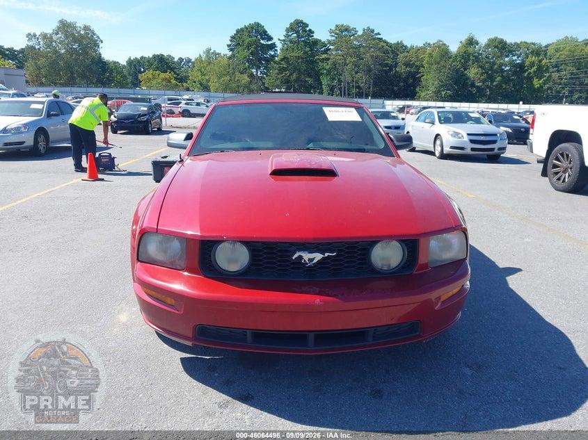 2008 FORD MUSTANG GT DELUXE/GT PREMIUM — фото 12
