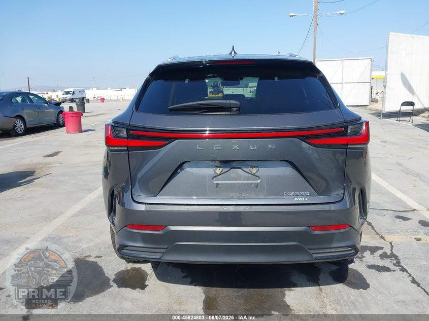 2024 LEXUS NX 350 — фото 16