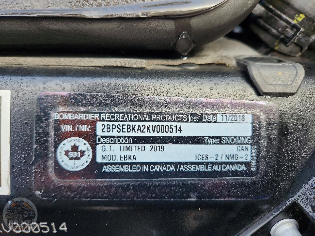 2019 SKI-DOO EBKA — фото 10