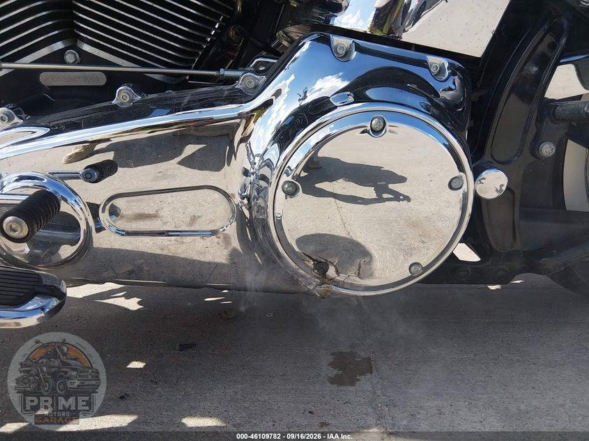 2008 HARLEY-DAVIDSON FLSTN (SOFTAIL DELUXE) — фото 15