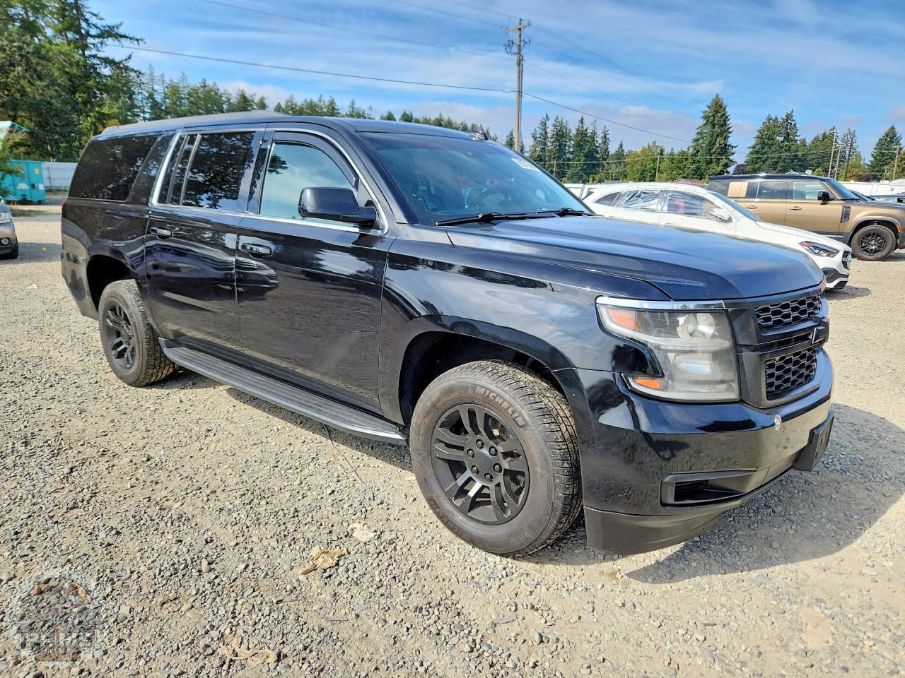 2020 CHEVROLET SUBURBAN — фото 4