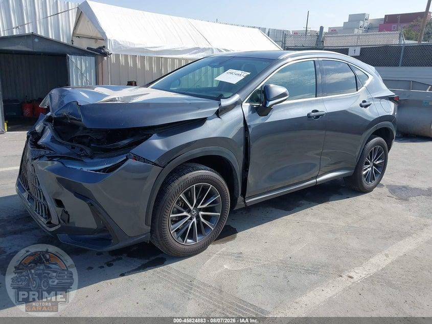 2024 LEXUS NX 350 — фото 2