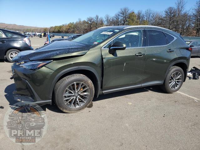 2024 LEXUS NX