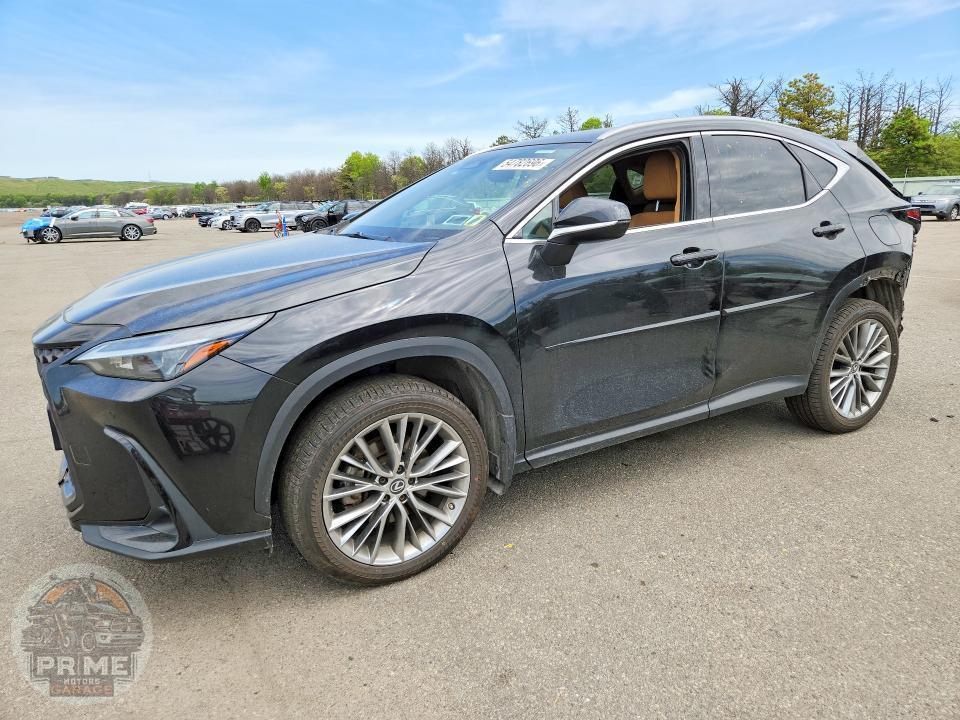 2022 LEXUS NX