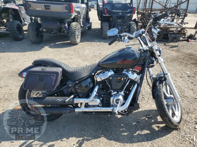 2023 HARLEY-DAVIDSON FXST (SOFTAIL STANDARD)