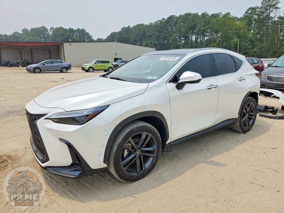 2025 LEXUS NX