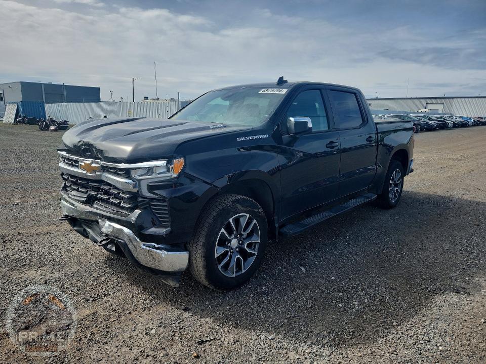 2024 CHEVROLET SILVERADO
