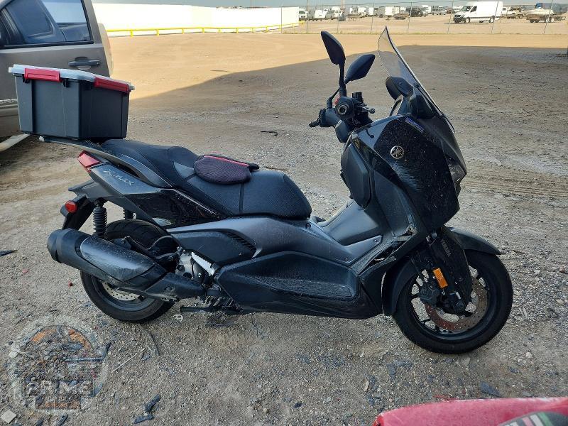 2025 YAMAHA CZD300