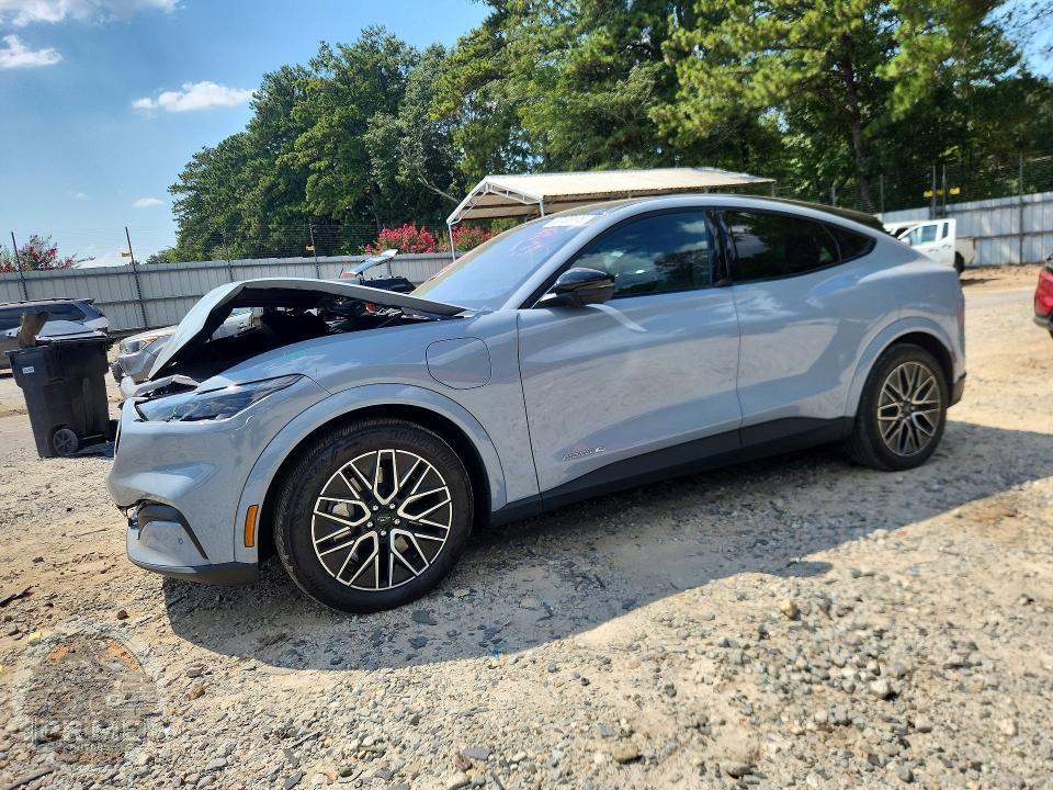 2025 FORD MUSTANG