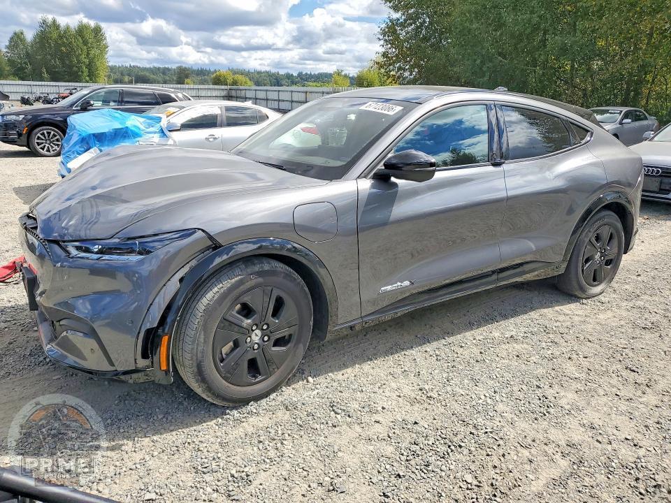 2023 FORD MUSTANG