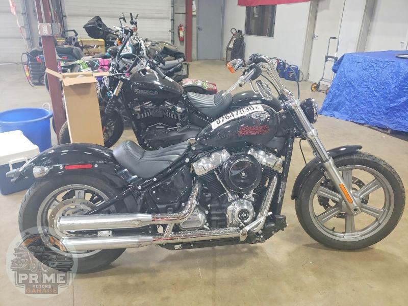 2024 HARLEY-DAVIDSON FXST (SOFTAIL STANDARD)