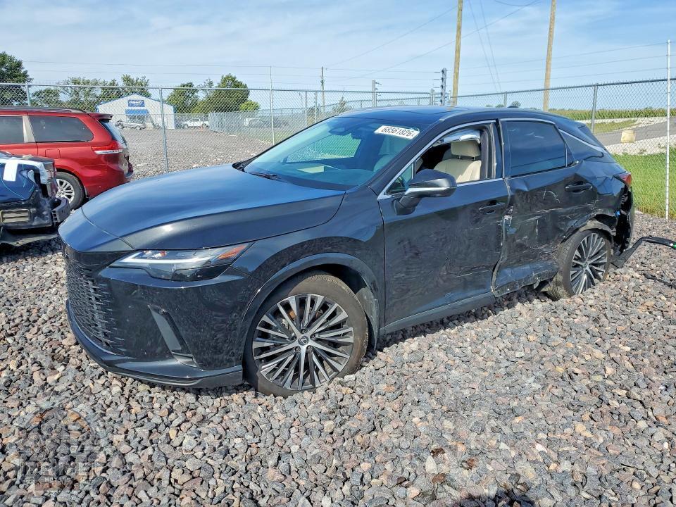 2024 LEXUS RX