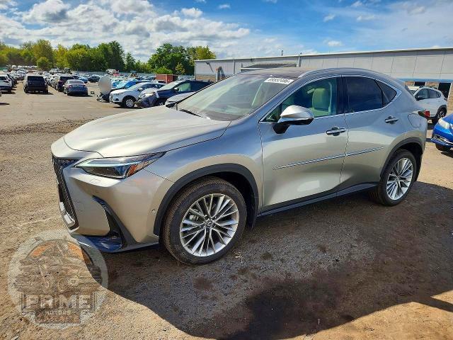 2026 LEXUS NX