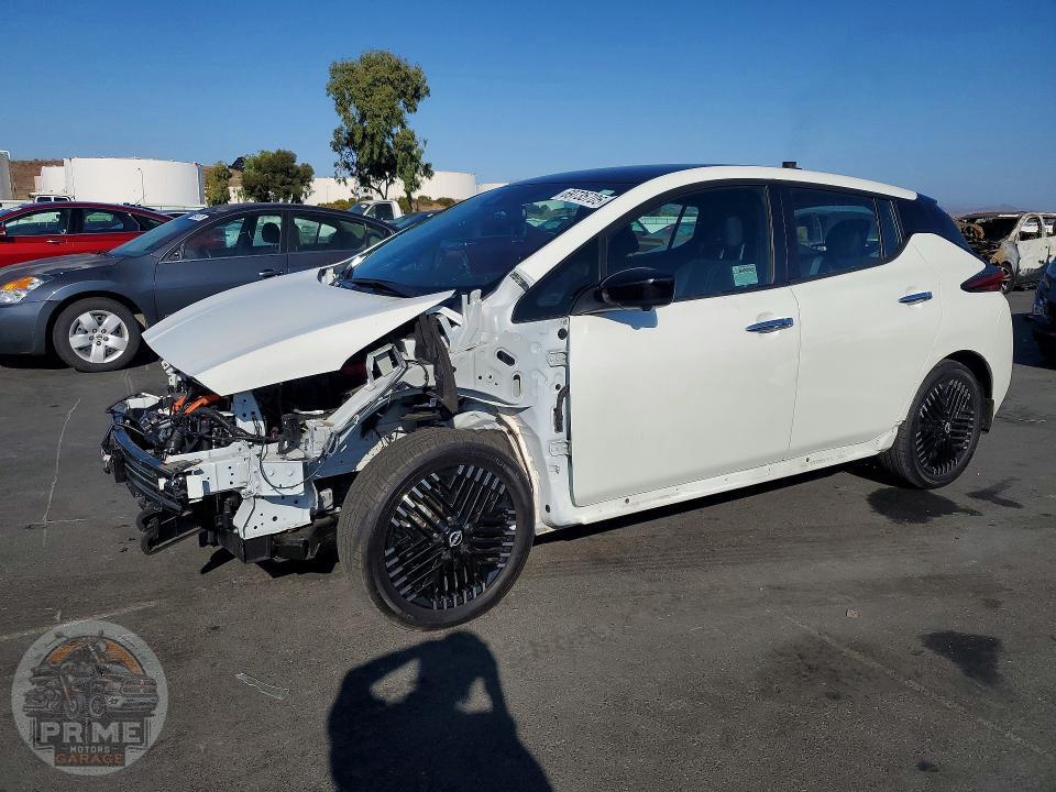 2025 NISSAN LEAF