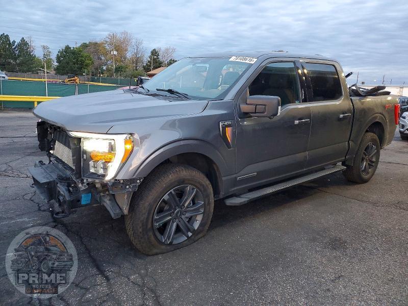 2023 FORD F 150