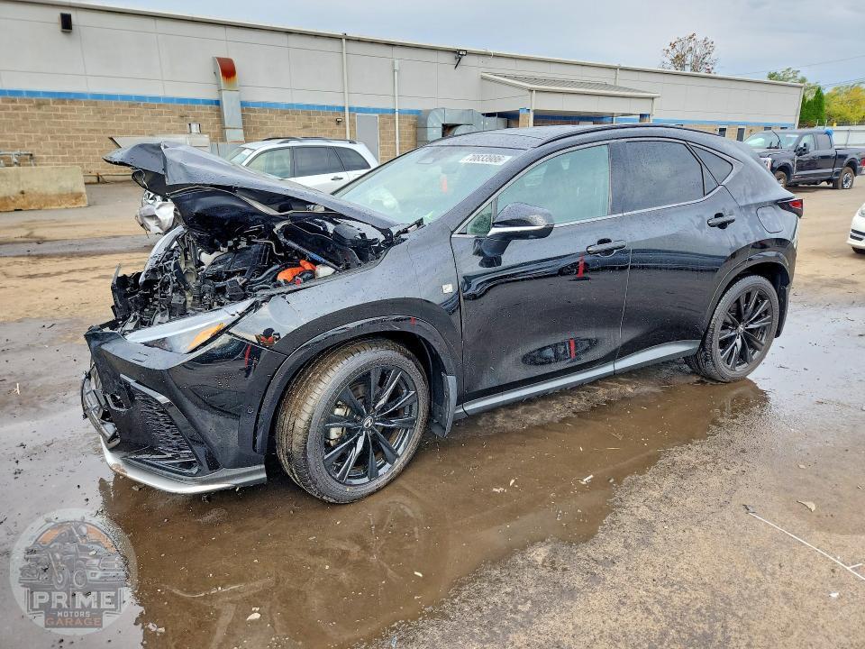 2025 LEXUS NX