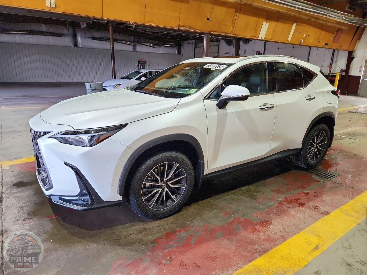 2024 LEXUS NX