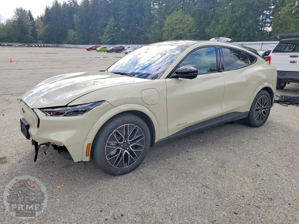 2025 FORD MUSTANG