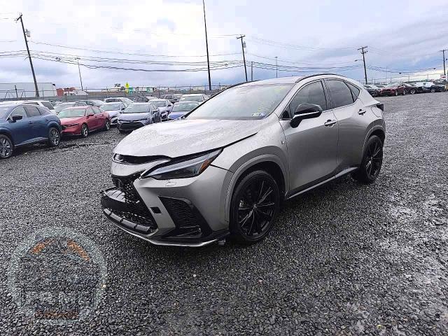 2025 LEXUS NX