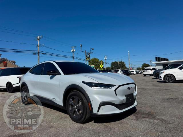 2023 FORD MUSTANG