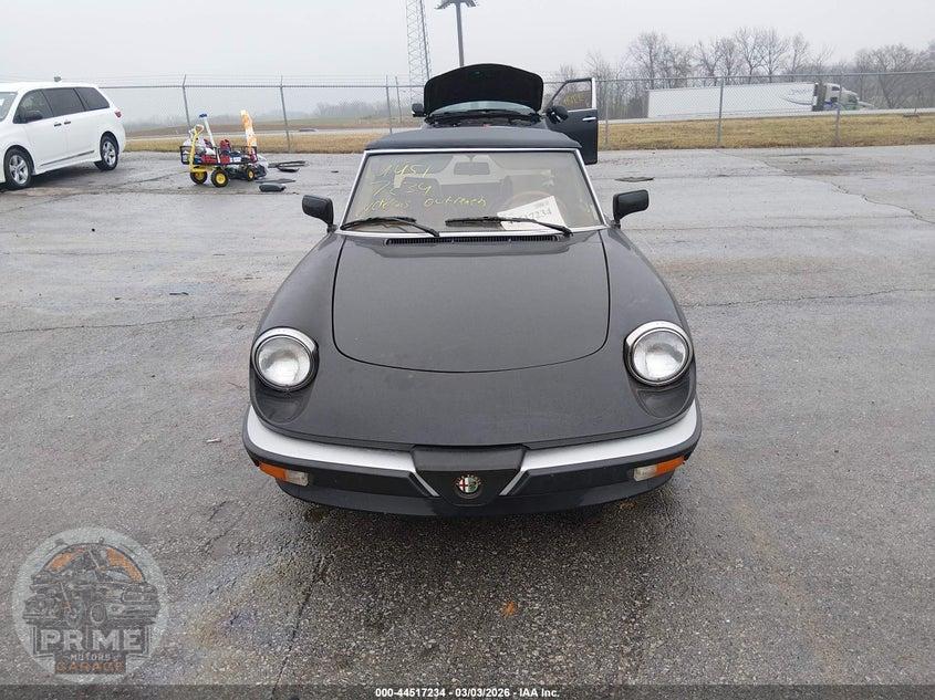 1990 ALFA ROMEO SPIDER GRADUATE — фото 12