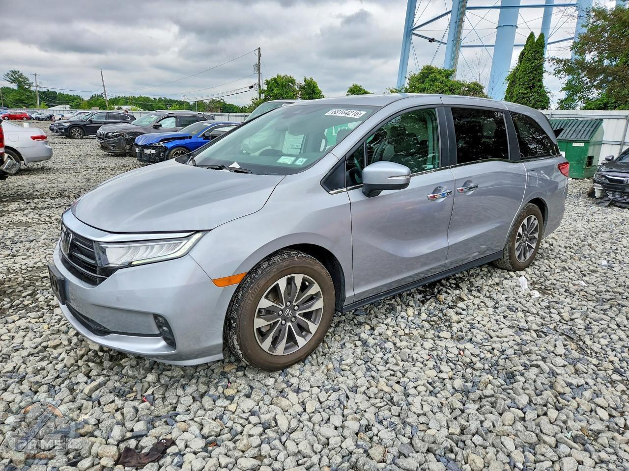 2024 HONDA ODYSSEY — фото 1