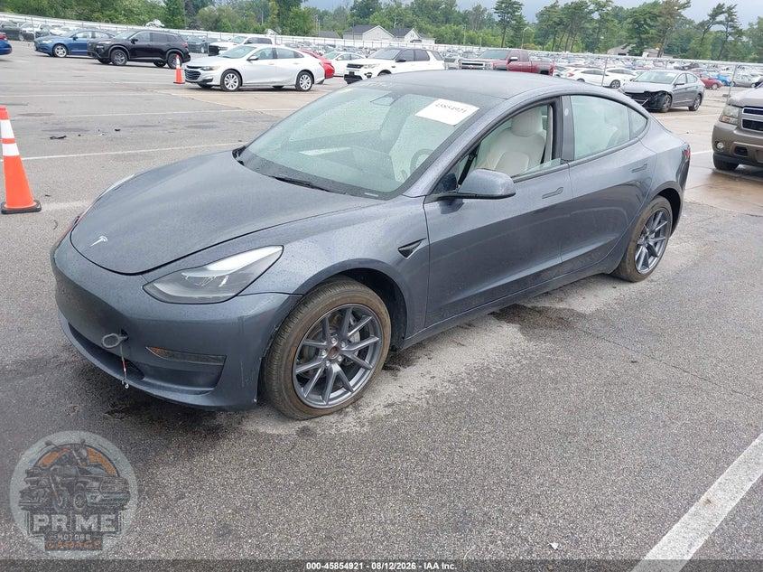 2023 TESLA MODEL 3 REAR-WHEEL DRIVE — фото 2
