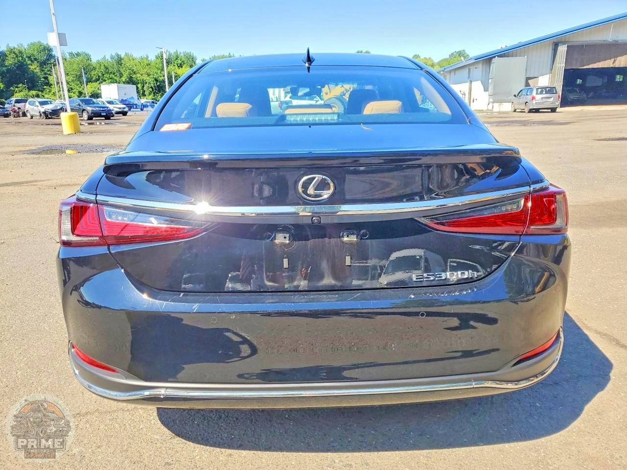 2024 LEXUS ES — фото 6