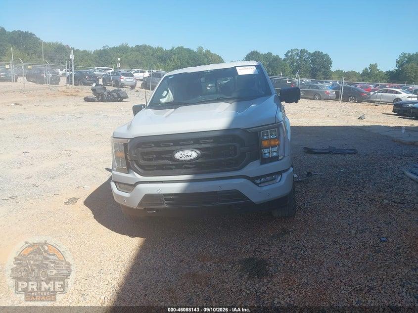 2023 FORD F-150 XLT — фото 13