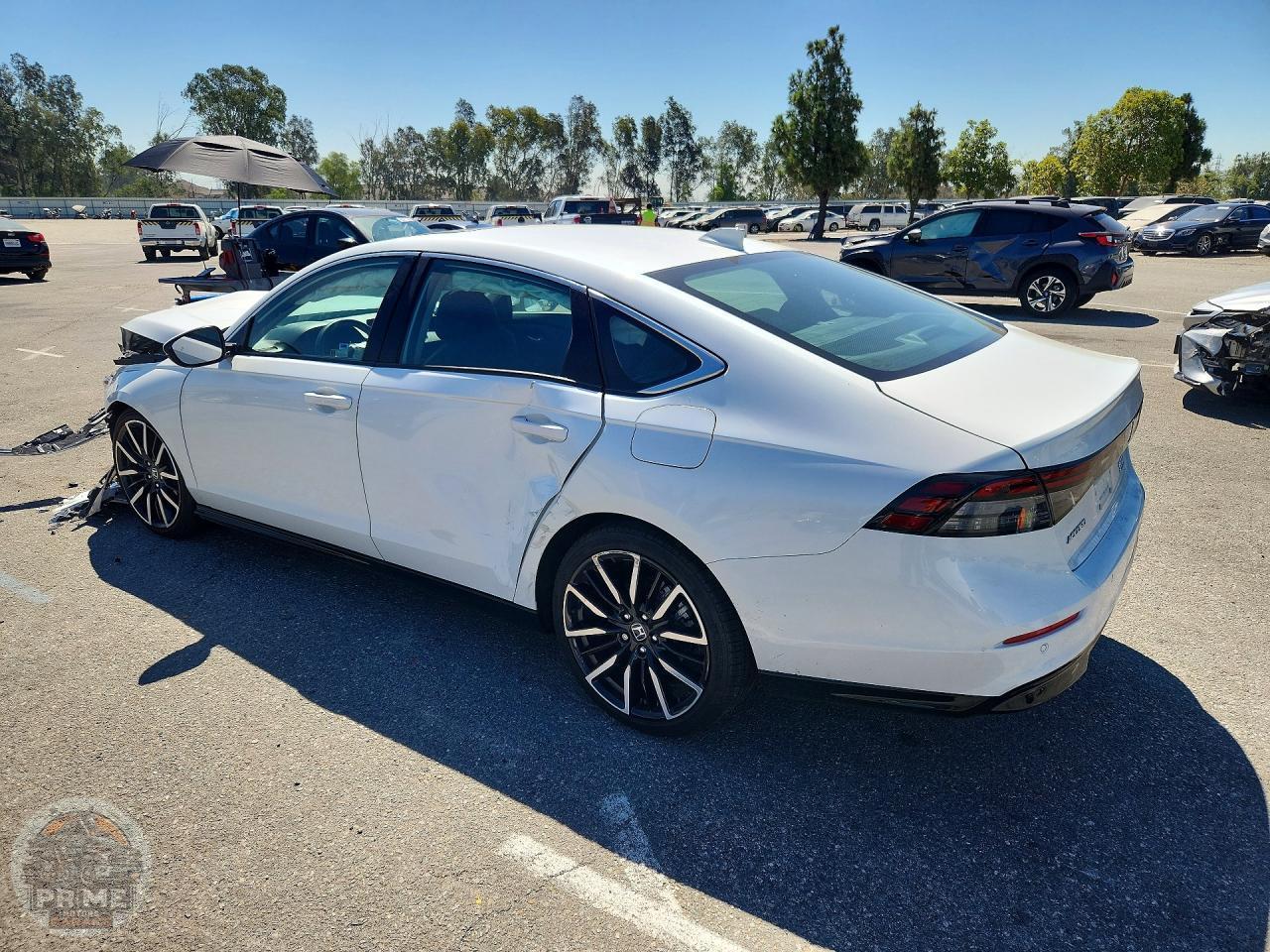 2024 HONDA ACCORD — фото 2