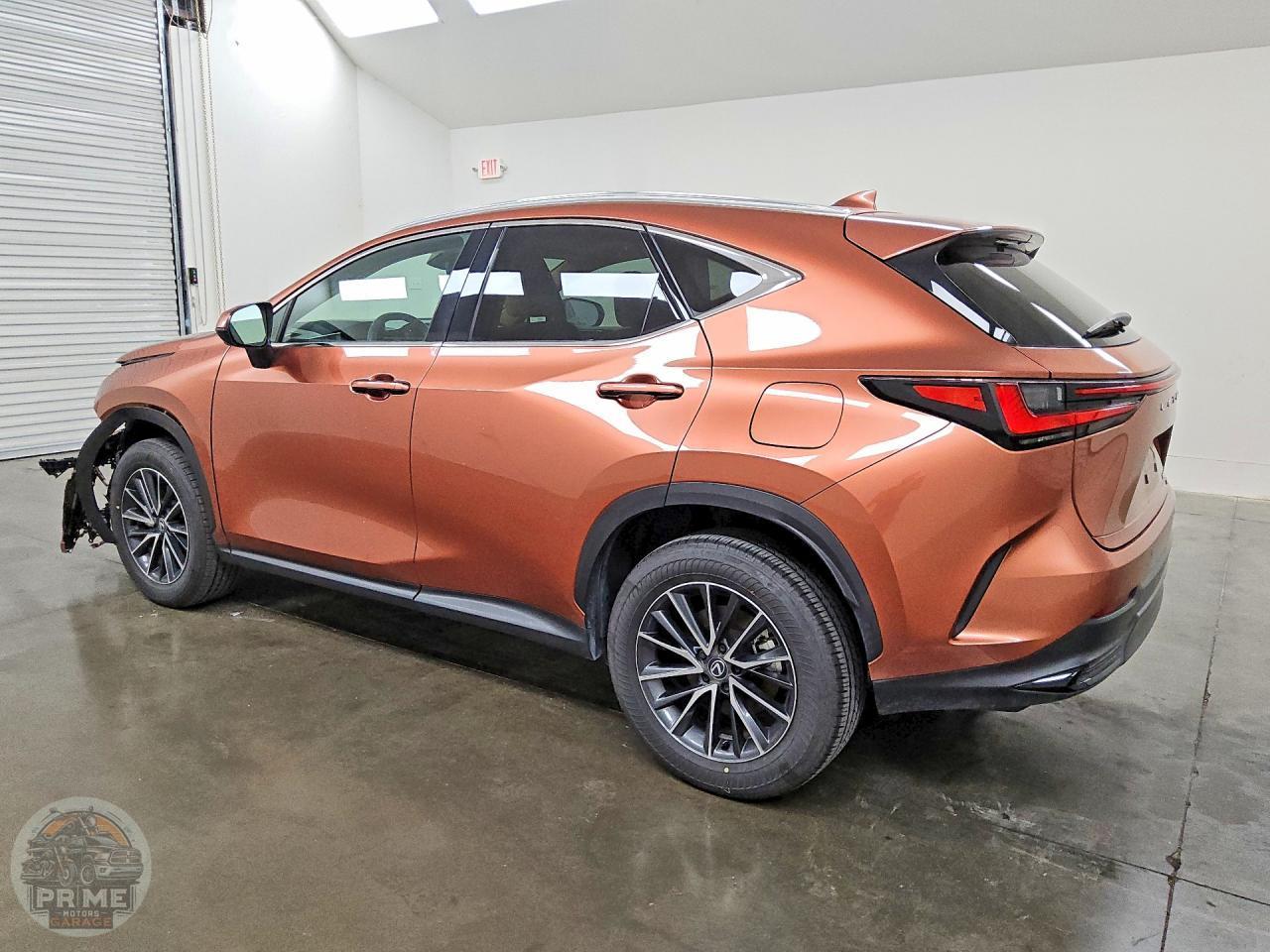 2025 LEXUS NX — фото 2
