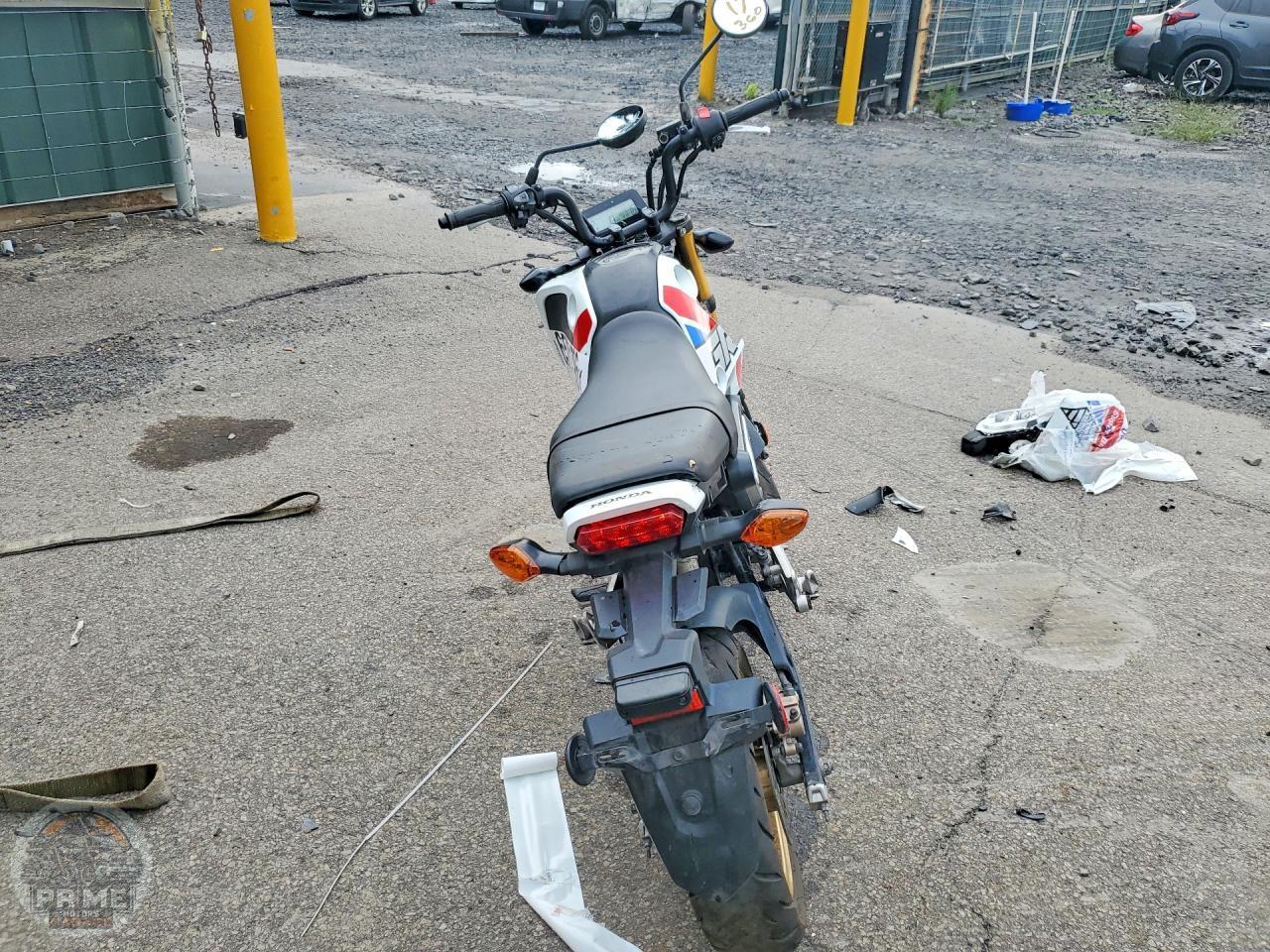 2023 HONDA GROM — фото 4