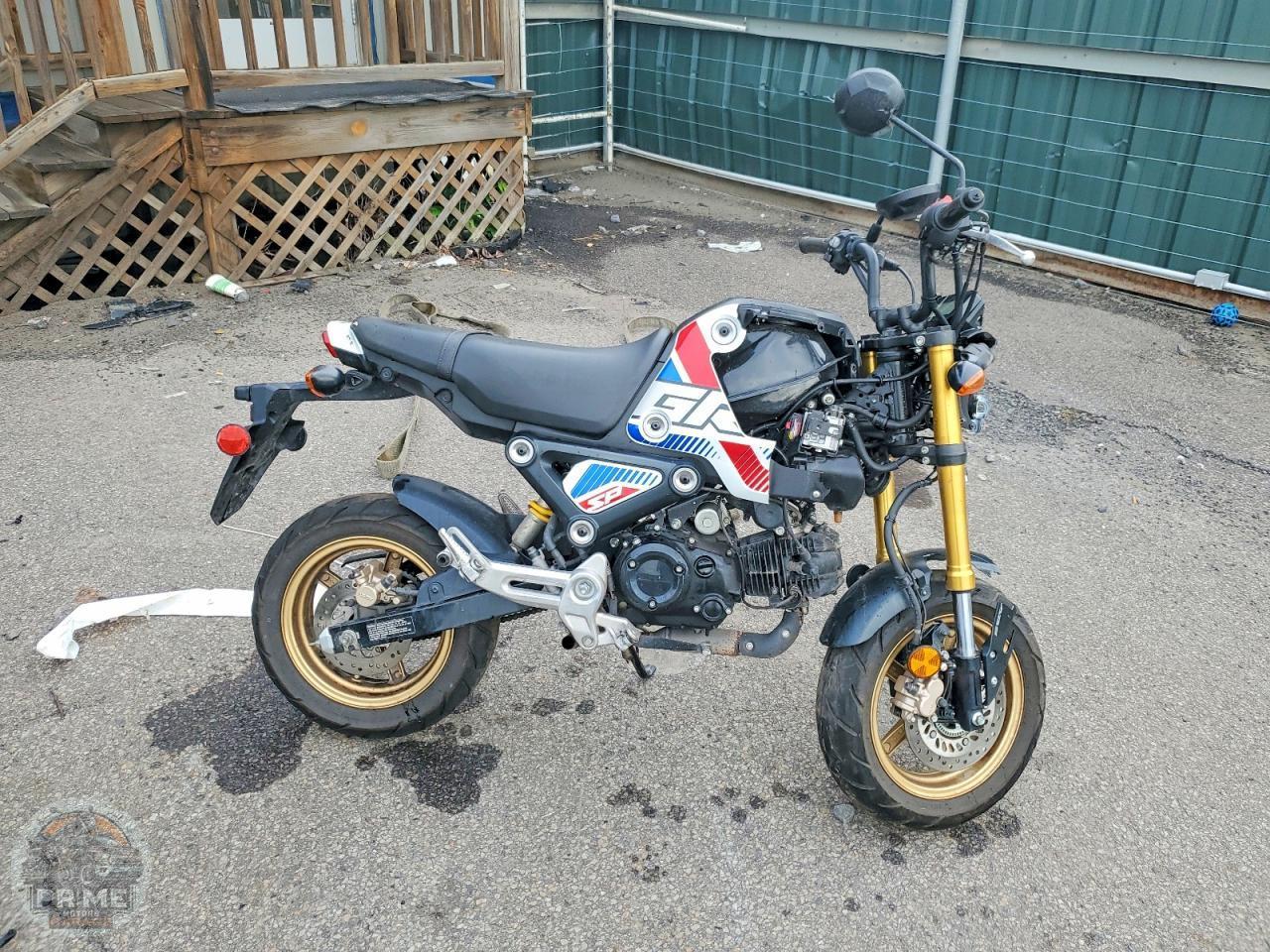 2023 HONDA GROM — фото 1