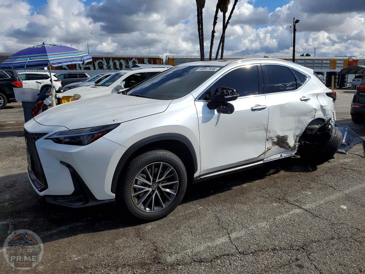 2025 LEXUS NX — фото 1