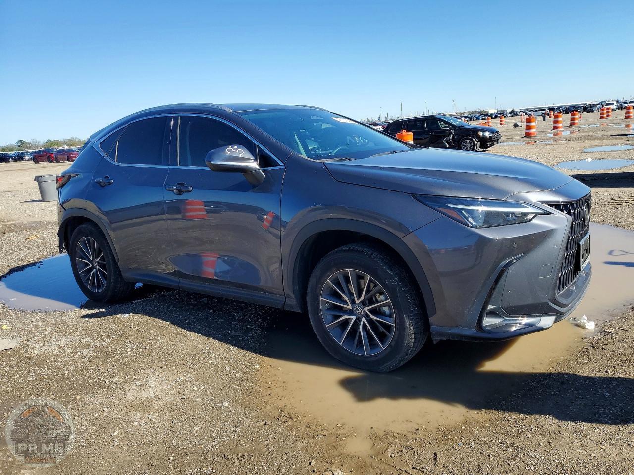 2023 LEXUS NX — фото 4