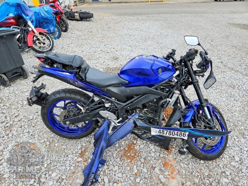 2024 YAMAHA YZFR3 — фото 1