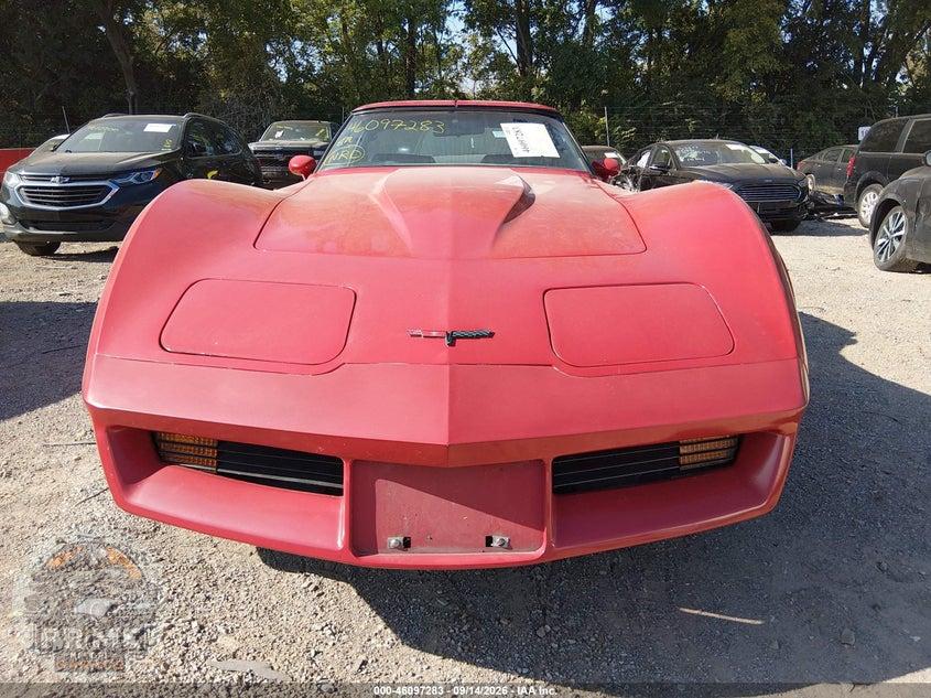 1981 CHEVROLET CORVETTE — фото 12