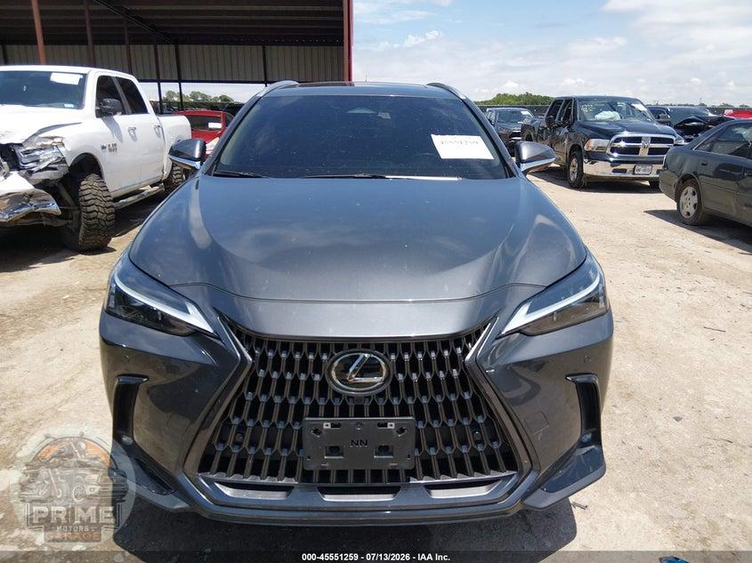 2025 LEXUS NX 350 PREMIUM — фото 12